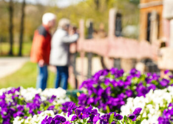 WEEKEND W ZAJEŹDZIE MALINOWYM k.GUBINA