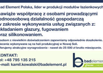 BAD ELEMENT Z NOWEJ SOLI SZUKA FIRM DO WSPÓŁPRACY