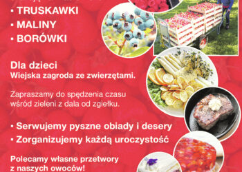 ZAJAZD MALINOWY k.GUBINA ZAPRASZA NA ZBIORY OWOCÓW I PYSZNY OBIAD WŚRÓD ZIELENI