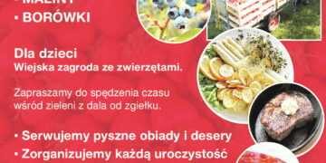 ZAJAZD MALINOWY k.GUBINA ZAPRASZA NA ZBIORY OWOCÓW I PYSZNY OBIAD WŚRÓD ZIELENI
