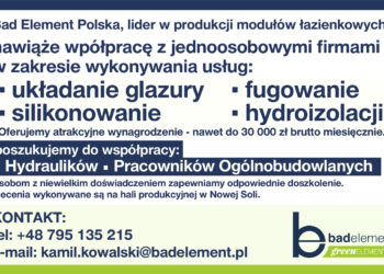BAD ELEMENT FIRMA Z NOWEJ SOLI SZUKA FIRM Z BRANŻY BUDOWLANEJ DO WSPÓŁPRACY.
