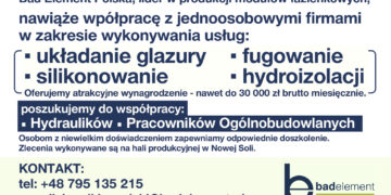 BAD ELEMENT FIRMA Z NOWEJ SOLI SZUKA FIRM Z BRANŻY BUDOWLANEJ DO WSPÓŁPRACY.